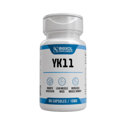 YK11